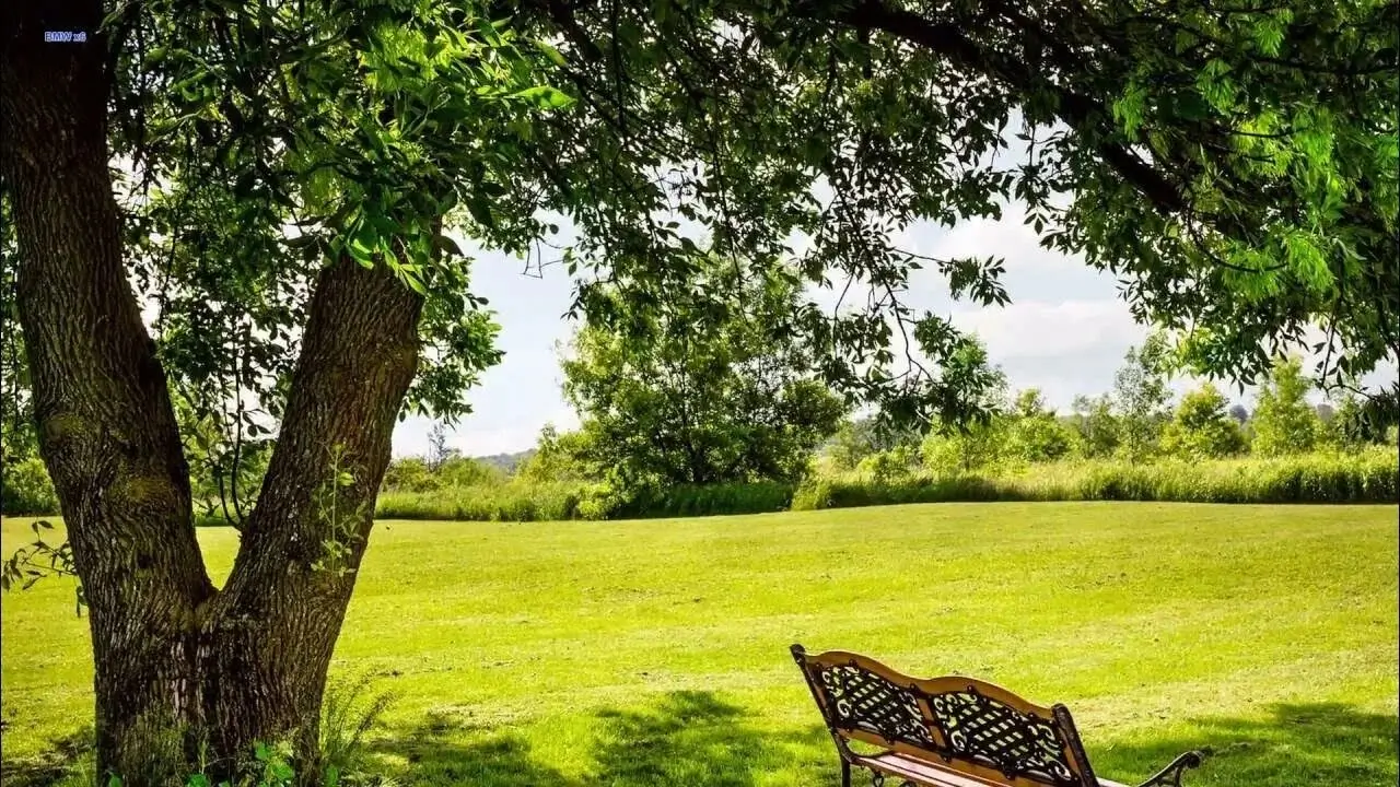 A quiet city park with a bench under green trees.